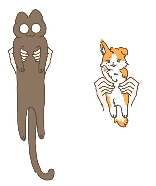 JbeforeHope's tweet image. 养猫和养狗的区别

#원찬