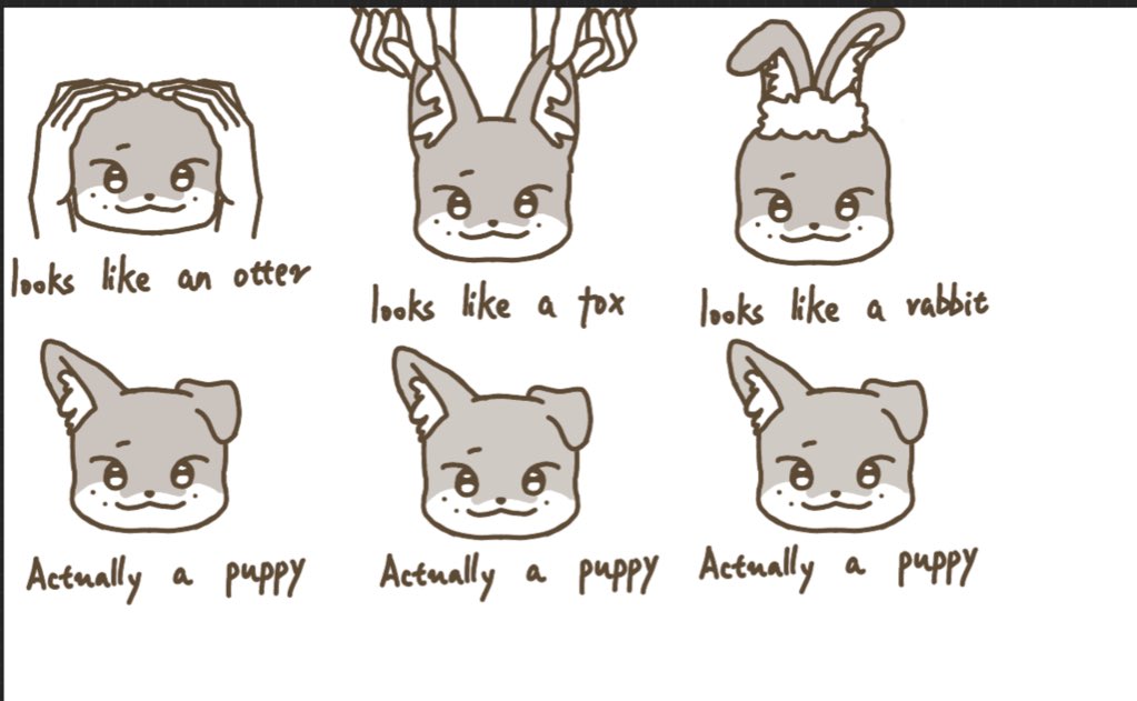 JbeforeHope's tweet image. 养猫和养狗的区别

#원찬