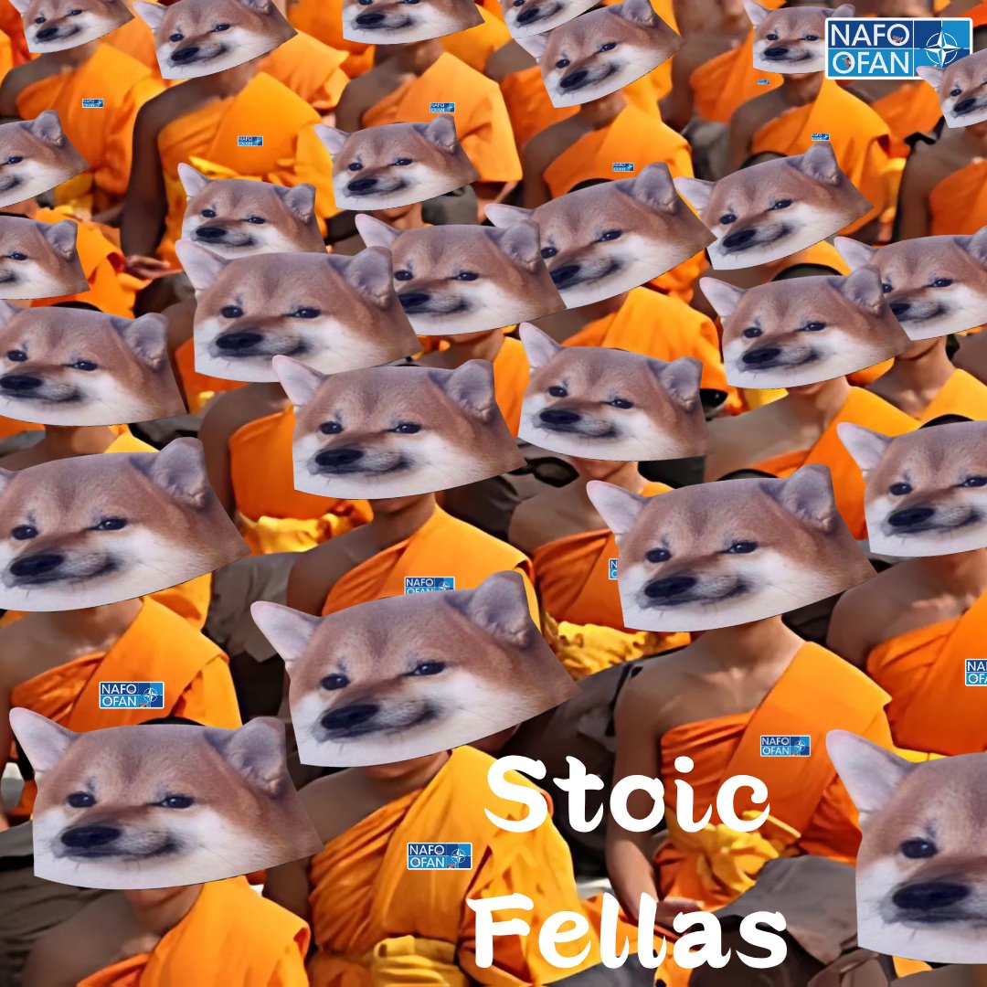 AsahiTora's tweet image. Stoic Fellas
"Be like water - silent, patient, unstoppable.
That is how the truth flows.
Straight through morons' lies."
#NAFOZen #WeAreNAFO