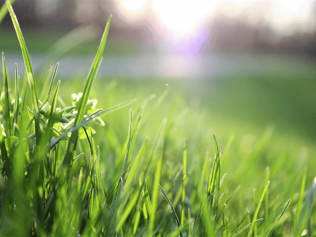 DrakeExchange's tweet image. Sunday check.

If you’re reading this tweet, you’re probably not doing the right things today.

Go outside, touch grass, and come back tomorrow.

Happy Sunday.