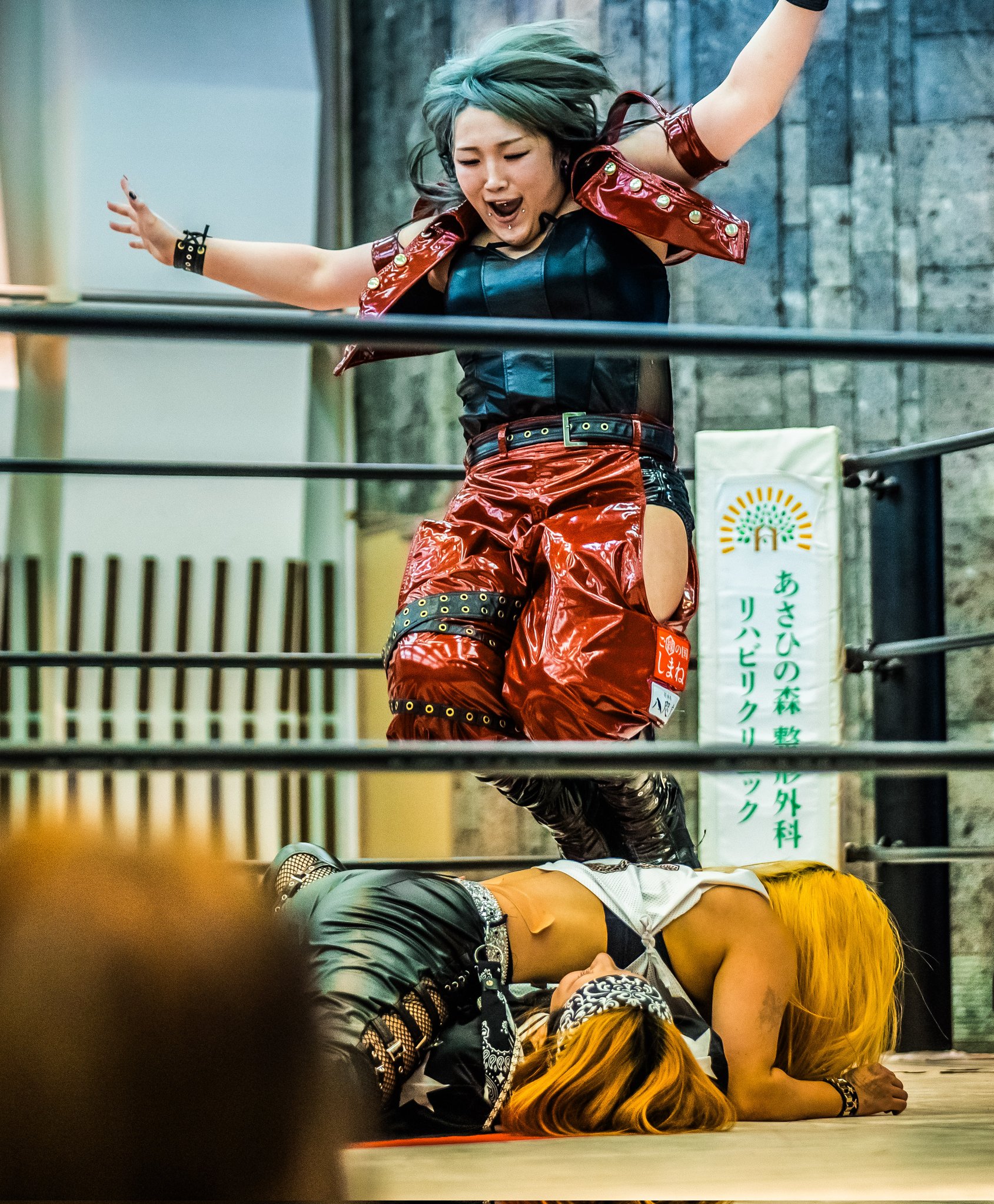 プロレス洋書『ライフワーク・オブ・ファーマー・バーンズ』 プロレス洋書『ライフワーク・オブ・ファーマー・バーンズ』 本