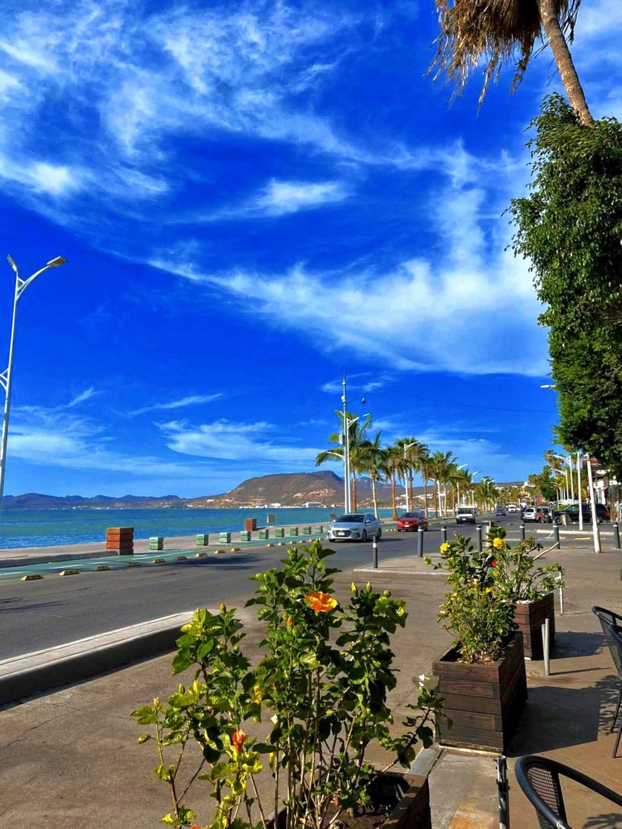 PostBajaSur's tweet image. Buenos Días ☀️
🔊 Un gusto saludarlos y buen domingo para todos 
🌵La Paz, Baja California Sur #BCS 🔝