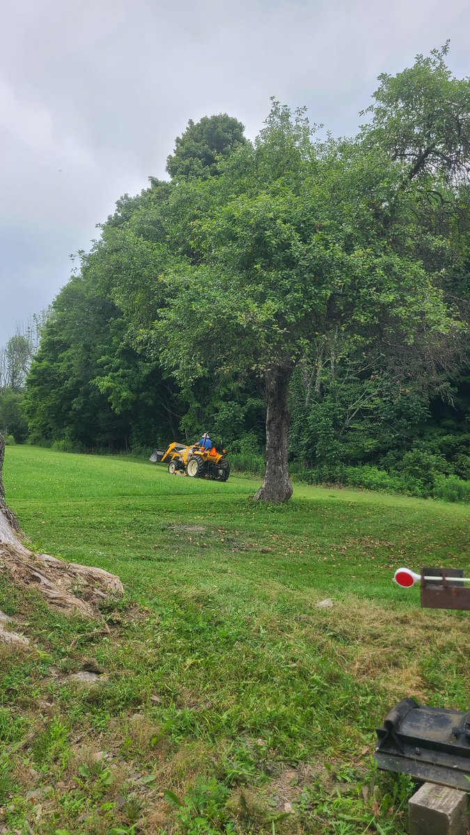 CymaticJoule's tweet image. Out at the farm. Husband is battling Japanese Beetles in our baby orchard, and mowing the property. The dogs and I are watching the vegetable garden grow, and touching grass.