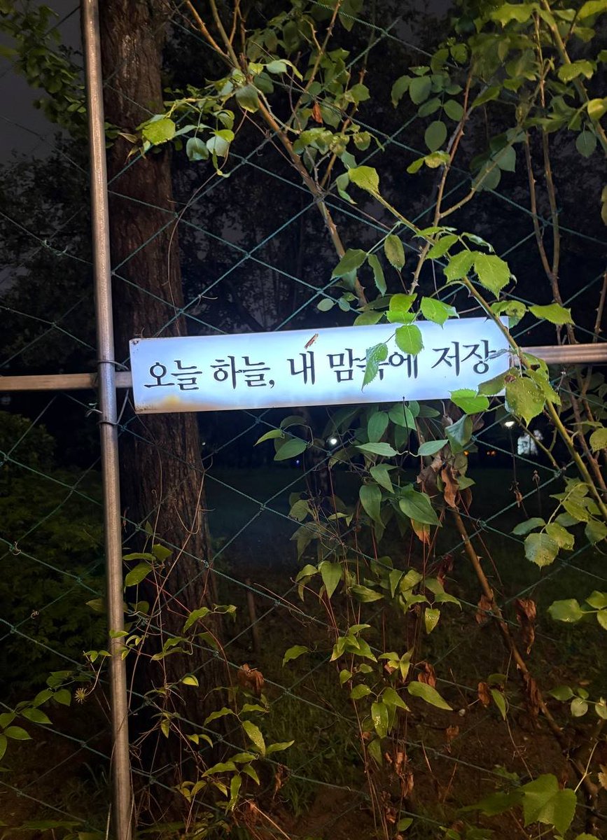 닷쥐 더 그라스 🌲
#openseatouchgrass <a href="/opensea/">OpenSea</a>