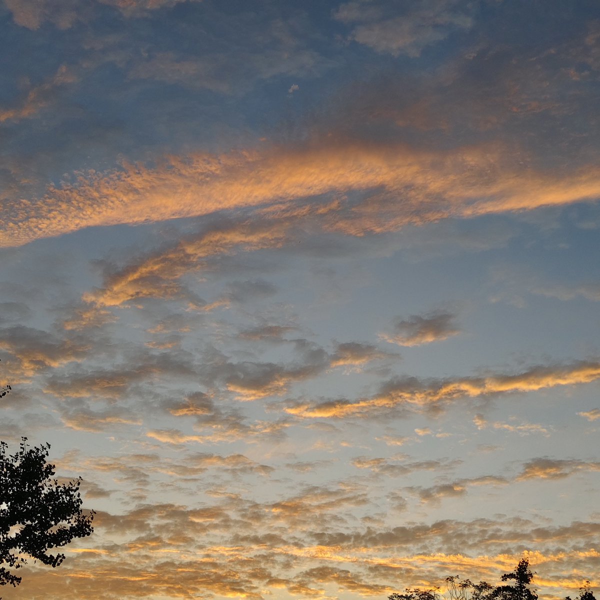 黄推福利内容 - 泡芙小梨🍐的精彩图片 福利姬泡芙小梨🍐分享的黄推图片4 - 网红私拍内容