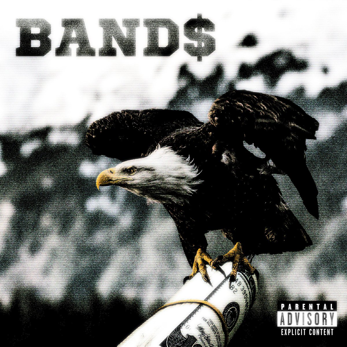 GDMeverything's tweet image. BAND$ - [2024] cover art idea