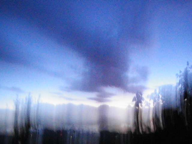 ඃᒁං ൠ (@textural_bug) on Twitter photo 