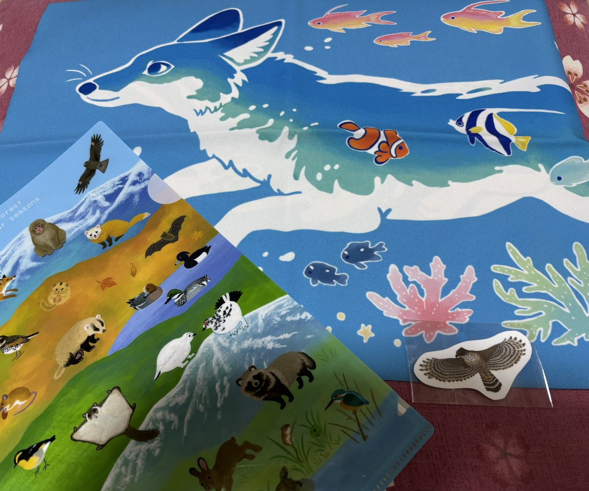 bd85g3's tweet image. ちなきのこ先生のブースではこちらを購入☺️
手ぬぐいはうみきつね🦊🐠
パペットかわいい🐻
#博物ふぇすてぃばる収穫祭