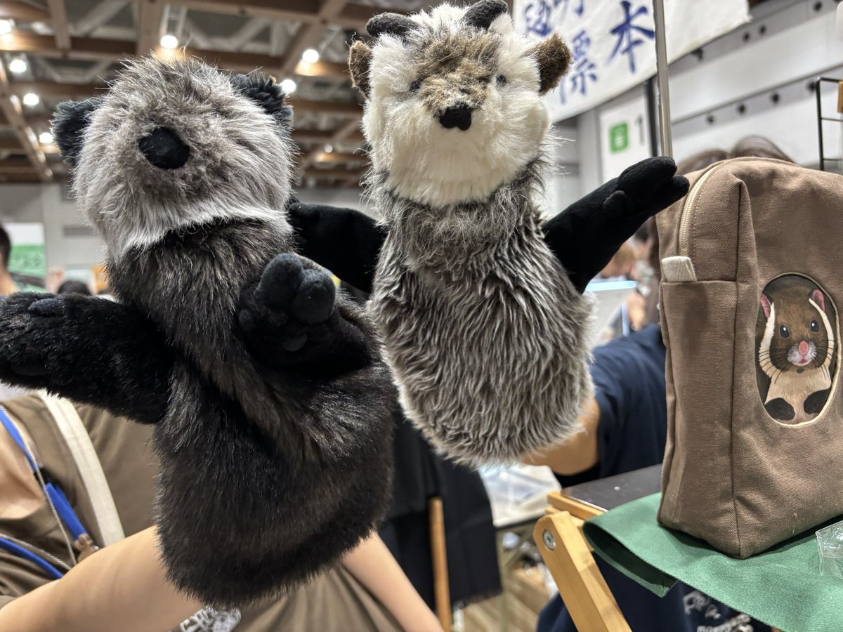 bd85g3's tweet image. ちなきのこ先生のブースではこちらを購入☺️
手ぬぐいはうみきつね🦊🐠
パペットかわいい🐻
#博物ふぇすてぃばる収穫祭