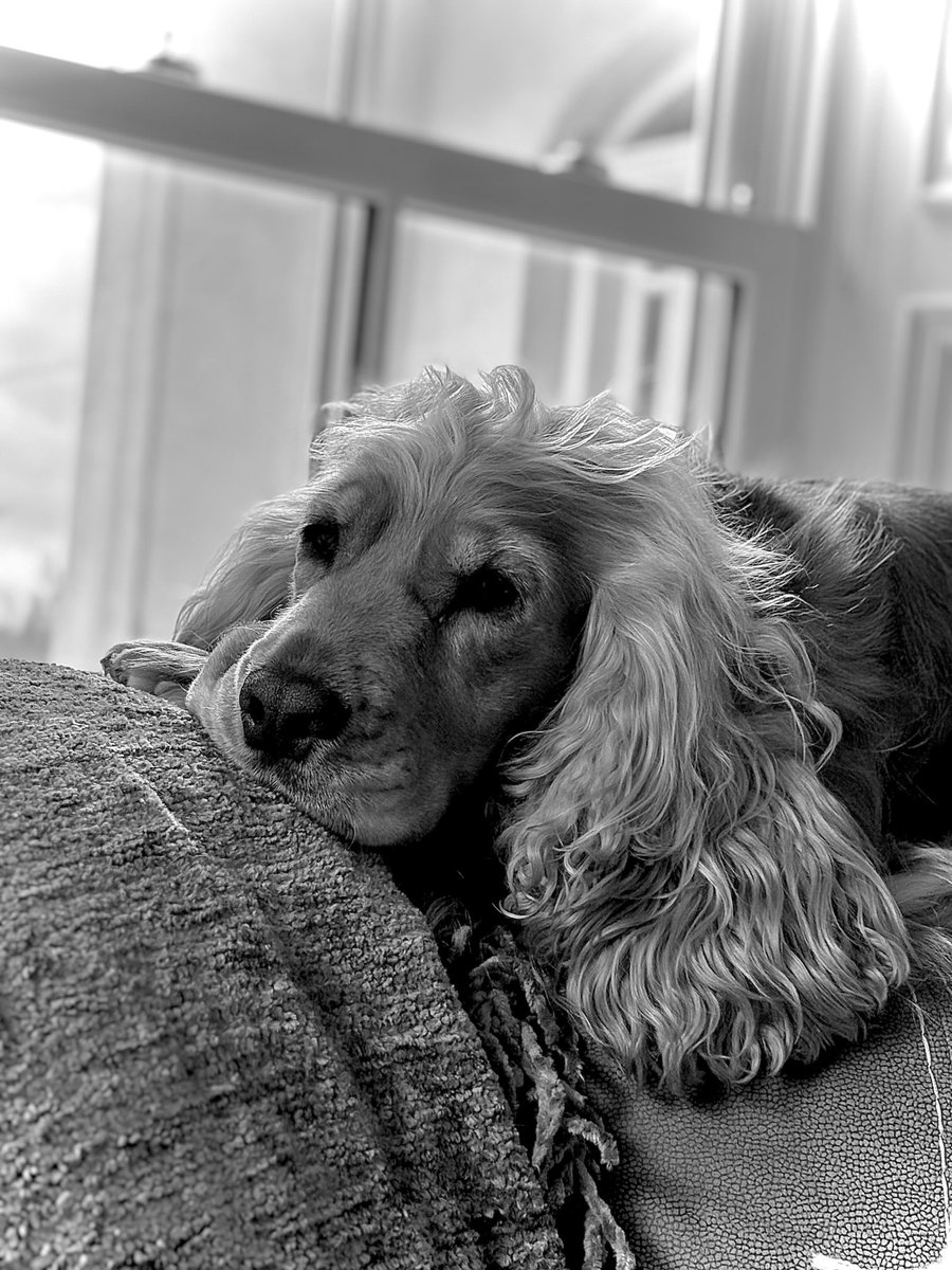 Concentrating on the Cork v Tipperary Hurling All Ireland Final this afternoon…