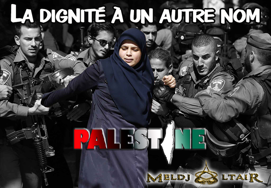 MeldjaAltair04's tweet image. La force des colons génocidaires se voit uniquement contre les innocents et les plus vulnérables, ils disent que c'est l'armée la plus morale du monde... Et quand ils ont peur de la résistance, ils cris au terrorisme.
#palestine_genocide #GazaGenocide #Israel_Enemy_of_Humanity