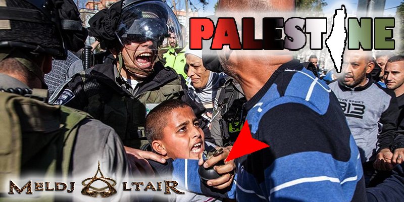 MeldjaAltair04's tweet image. La force des colons génocidaires se voit uniquement contre les innocents et les plus vulnérables, ils disent que c'est l'armée la plus morale du monde... Et quand ils ont peur de la résistance, ils cris au terrorisme.
#palestine_genocide #GazaGenocide #Israel_Enemy_of_Humanity