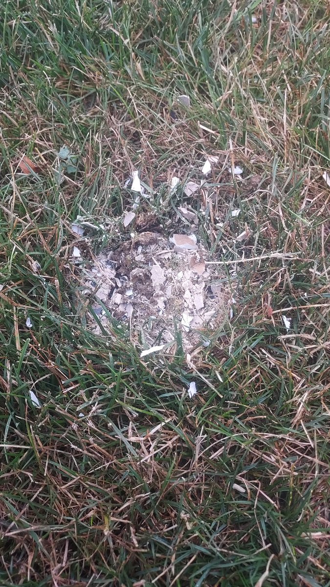 jdoepker79's tweet image. After a bit of searching and a helpful couple walking down the street, we found it... jus over a block away in the school yard. It appears that the interstage was too snug, and the ship failed to separate. It nosedived and impacted the ground. HLS is a total loss. However, the…