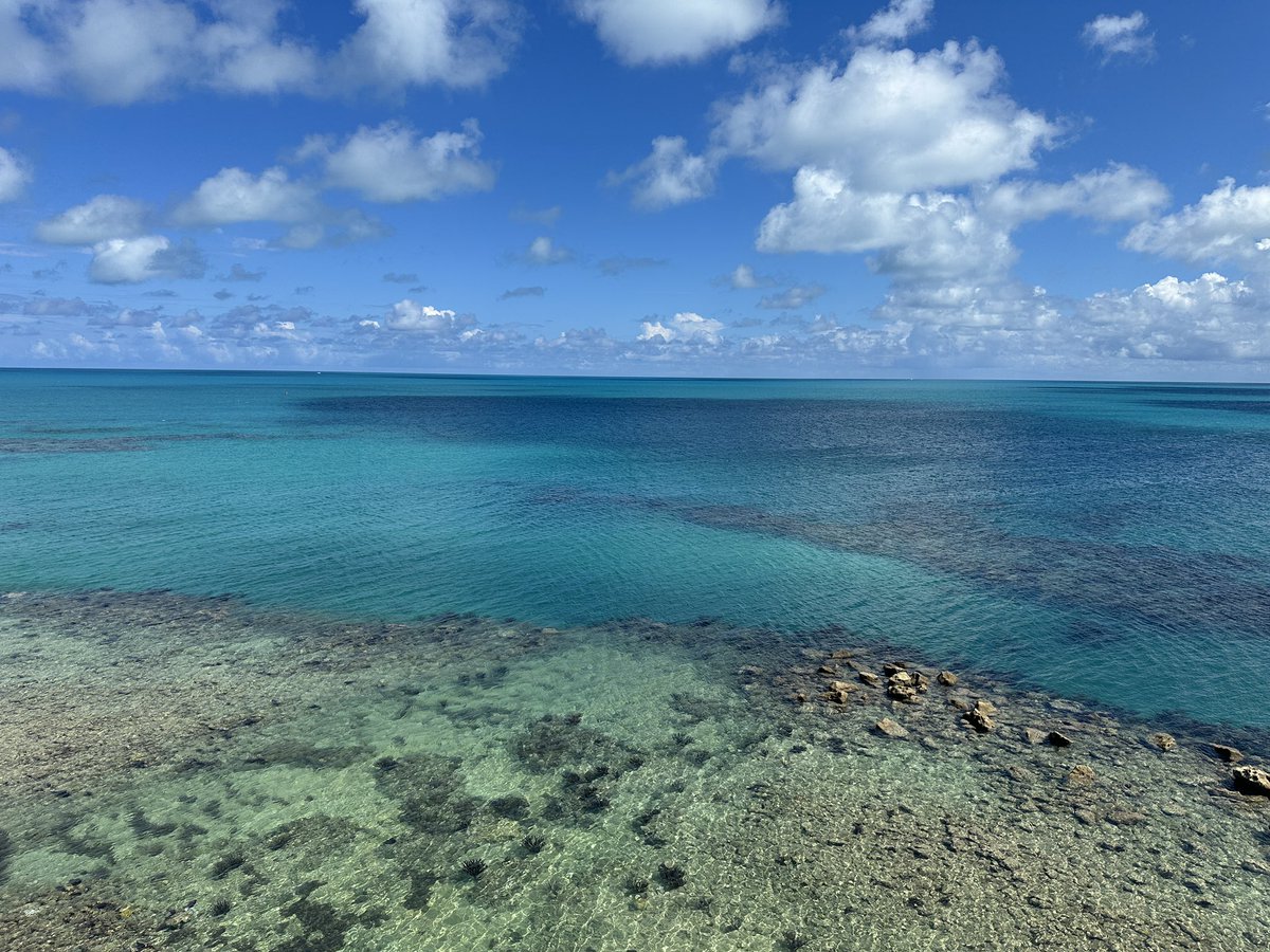 ashleysgamble's tweet image. #Bermuda