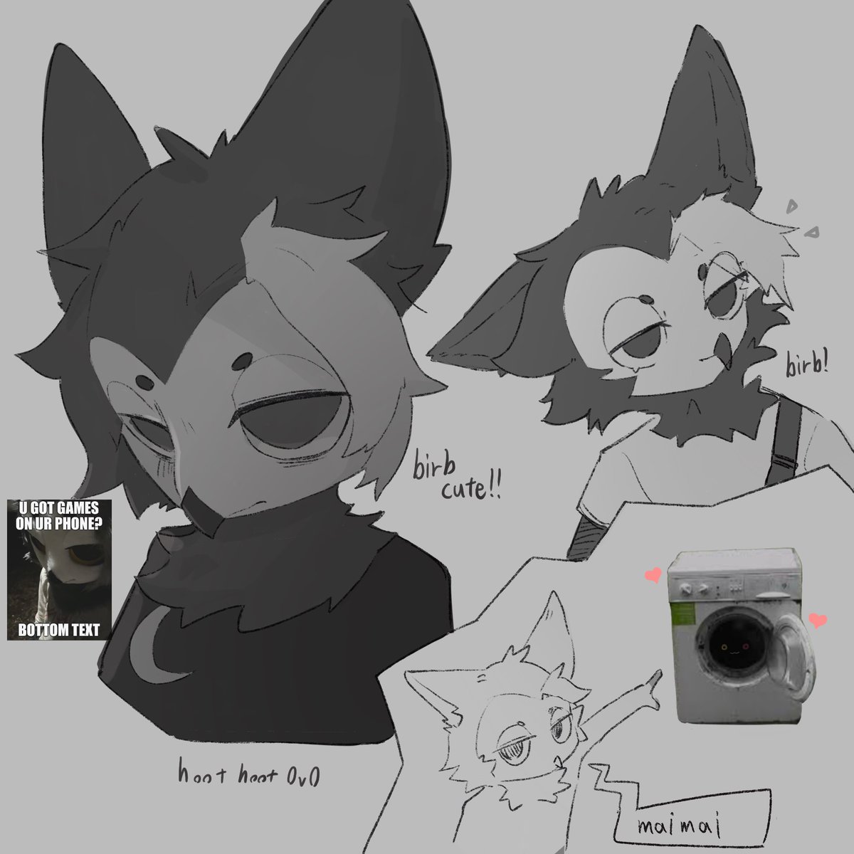 Buchuc0's tweet image. birb cute cute @SolaristheOwl :3c