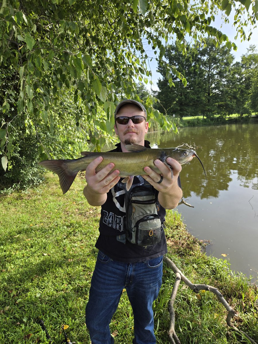 LENINMAXXING's tweet image. Couple decent ones. Catfish on a white fluke