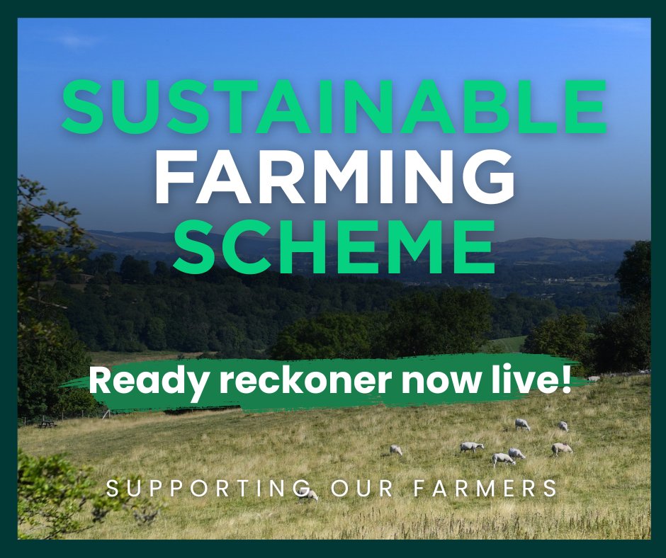 WGRural's tweet image. Our Ready Reckoner tool is available on the @WelshGovernment website!
Quickly calculate your indicative Sustainable Farming Scheme Universal Payment.
Check what your farm could receive in 2026 👇
gov.wales/sustainable-fa…
#SupportingOurFarmers
#SFSCymru