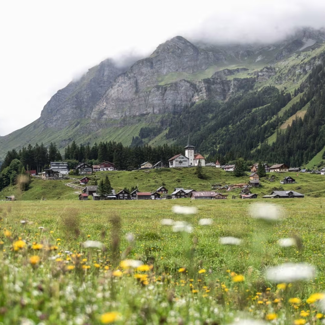 SwissCGNY's tweet image. 🏔️ From Lake Geneva to Lake Constance, the Via Alpina takes you across 14 Alpine passes and 7 cantons in 20 days. Panoramic trails, cheese huts, and iconic resorts like Gstaad await.
📍 Plan your #hike: ow.ly/A7Ns50WqejI