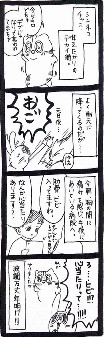 年明けの悲劇 