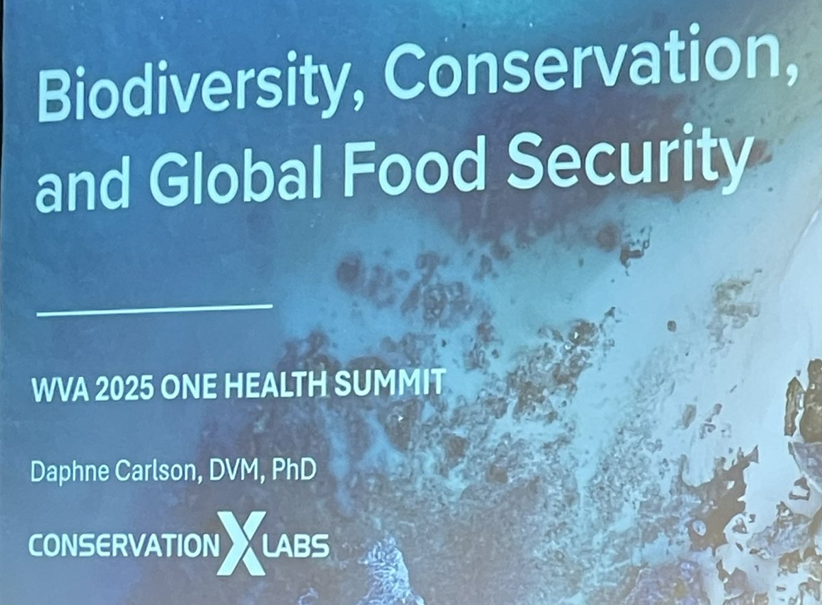 Smith-Blackmore (@marthasmithdvm) on Twitter photo <a href="/TheEventsDC/">Events DC</a> <a href="/UN/">United Nations</a> <a href="/pahowho/">PAHO/WHO</a> <a href="/WorldBank/">World Bank</a> Dr. Daphne Carlson of <a href="/conservationx/">Conservation X Labs</a> talks about wildlife & food security. <a href="/TheEventsDC/">Events DC</a> <a href="/UN/">United Nations</a> <a href="/pahowho/">PAHO/WHO</a> <a href="/WorldBank/">World Bank</a> Dr. Daphne Carlson of <a href="/conservationx/">Conservation X Labs</a> talks about wildlife & food security.