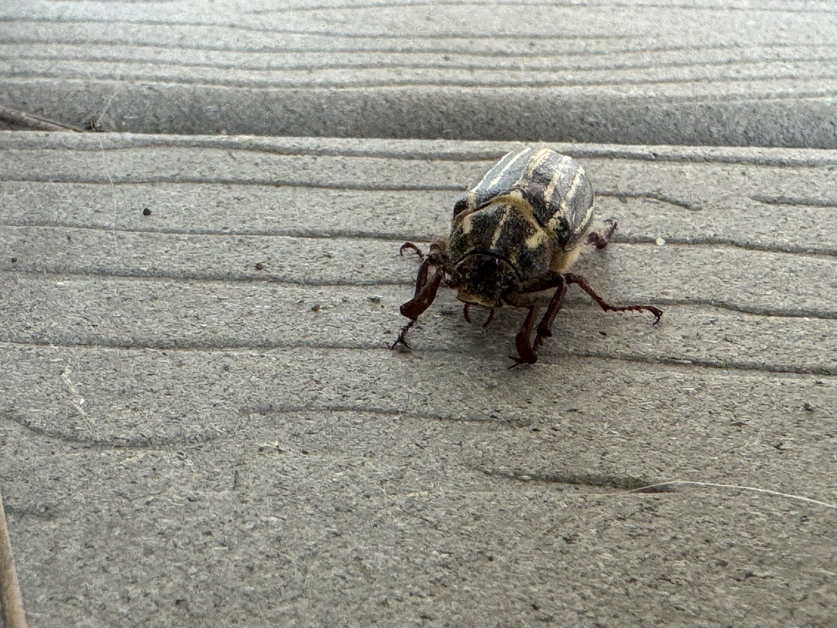 MKDRGN9's tweet image. Some cool pictures from yesterday