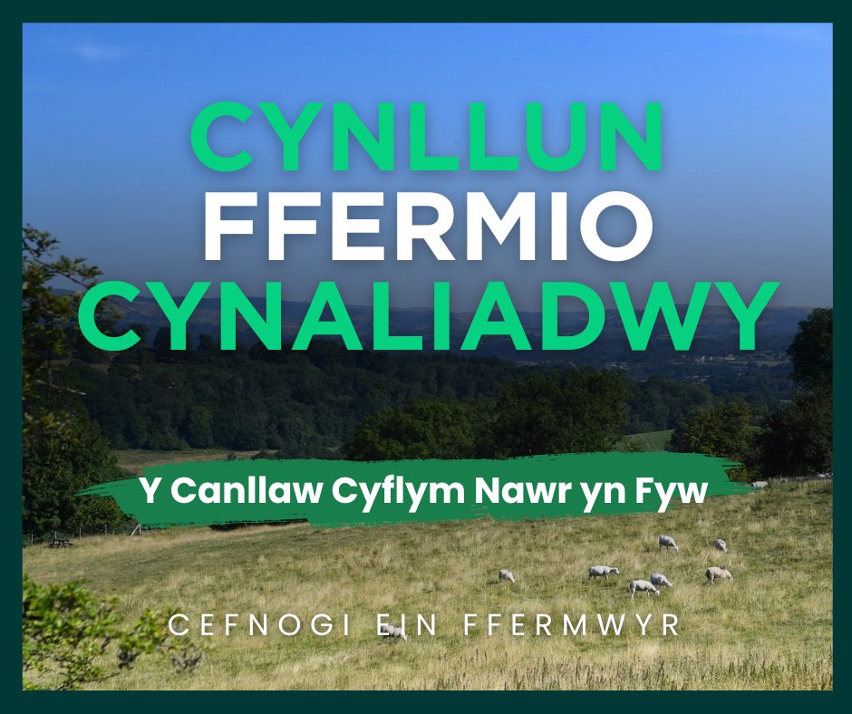LlCCefnGwlad's tweet image. Mae ein Canllaw Cyflym ar gael ar wefan Llywodraeth Cymru
Cyfrifwch eich Taliad Cyffredinol dangosol o dan y Cynllun Ffermio Cynaliadwy.
Gwiriwch yr hyn allai eich fferm ei gael yn 2026 👇
ow.ly/Izss50WsjL7