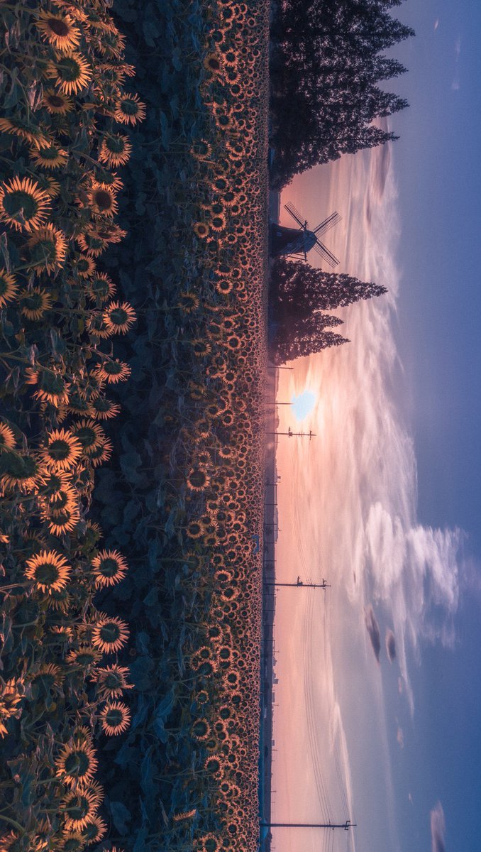 きりゅ (@kendyce) on Twitter photo 