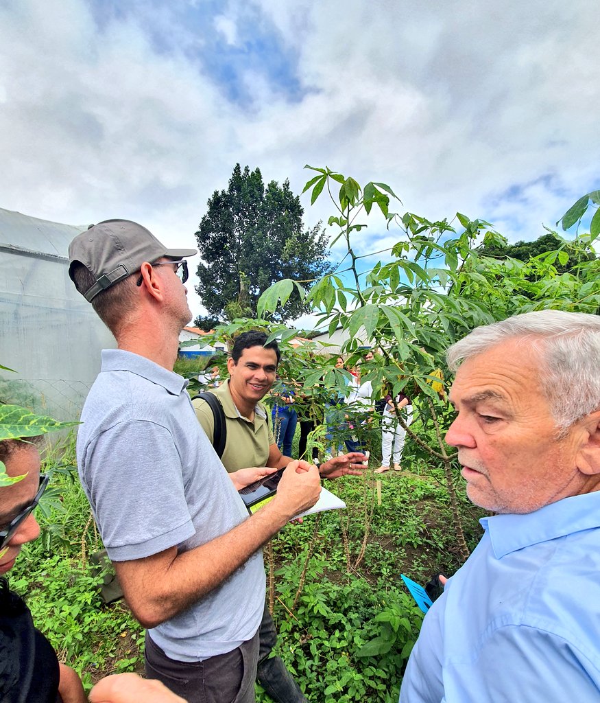 Samar Sheat, Ph.D.🌿 (@samarsheat) on Twitter photo In Cruz das Almas with great team led by Saulo and Eder, we ran a workshop on #diagnostics for #Cassava Frogskin #Disease #CFSD& #virus localization with @EMBRAPA 🧬🔬
Hands-on learning, tech transfer, & strong collaboration to protect cassava!
<a href="/Leibniz_DSMZ_en/">Leibniz-Institut DSMZ</a>
<a href="/StephanWinter11/">Stephan Winter</a> In Cruz das Almas with great team led by Saulo and Eder, we ran a workshop on #diagnostics for #Cassava Frogskin #Disease #CFSD& #virus localization with @EMBRAPA 🧬🔬
Hands-on learning, tech transfer, & strong collaboration to protect cassava!
<a href="/Leibniz_DSMZ_en/">Leibniz-Institut DSMZ</a>
<a href="/StephanWinter11/">Stephan Winter</a>