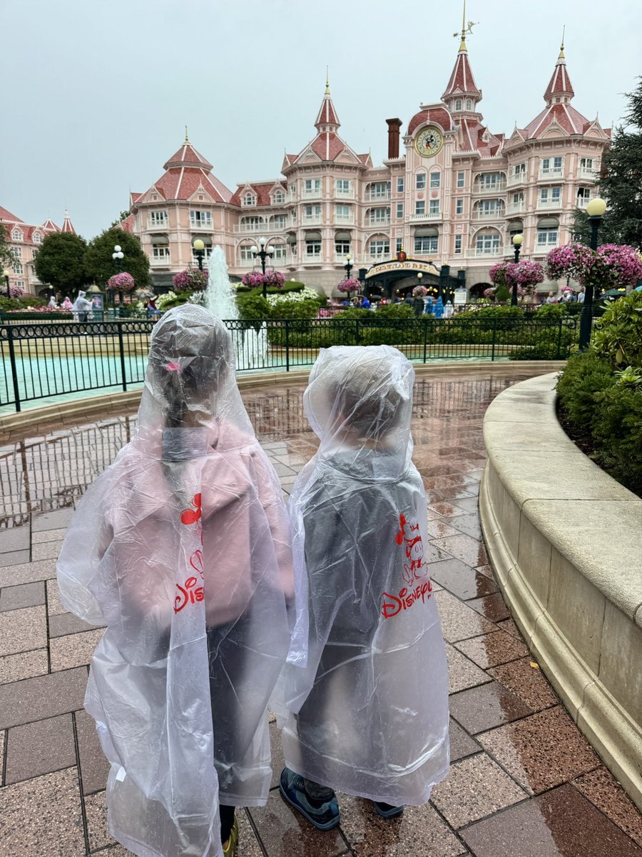Morning heavy rain in Disneyland?

No problem – the guy at the station shop had rain ponchos!

💸 58 euros for the family.

He probably never has to work again after today. 😂😂