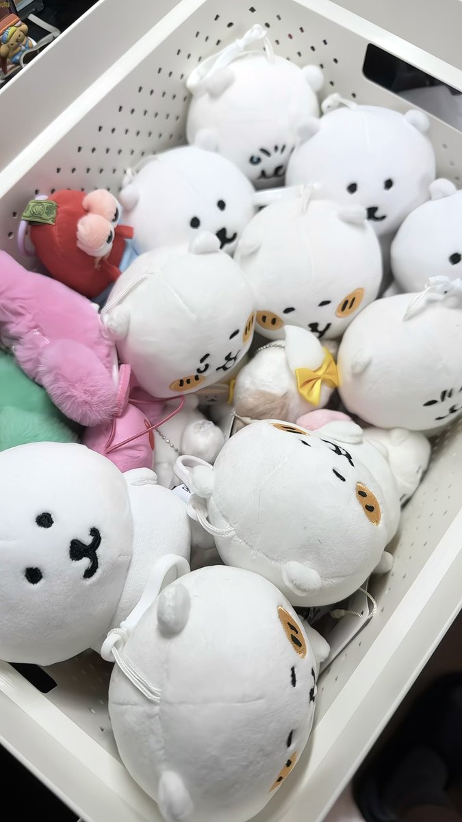 #四爱 #四爱女攻 #4i 
主播每天过的就是如此的低脂且死宅❤️