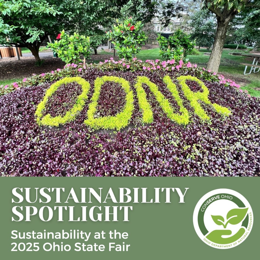 OHStateParks's tweet image. ♻️ Go green at the @OhioStateFair! 🌽🌎 With refill stations, recycling bins, and sustainability education throughout the fairgrounds, it's easier than ever to lower your footprint while enjoying your funnel cake. 🍰♻️
Simple actions = big impact 💚
@ohiodnr @OHHeartofitAll