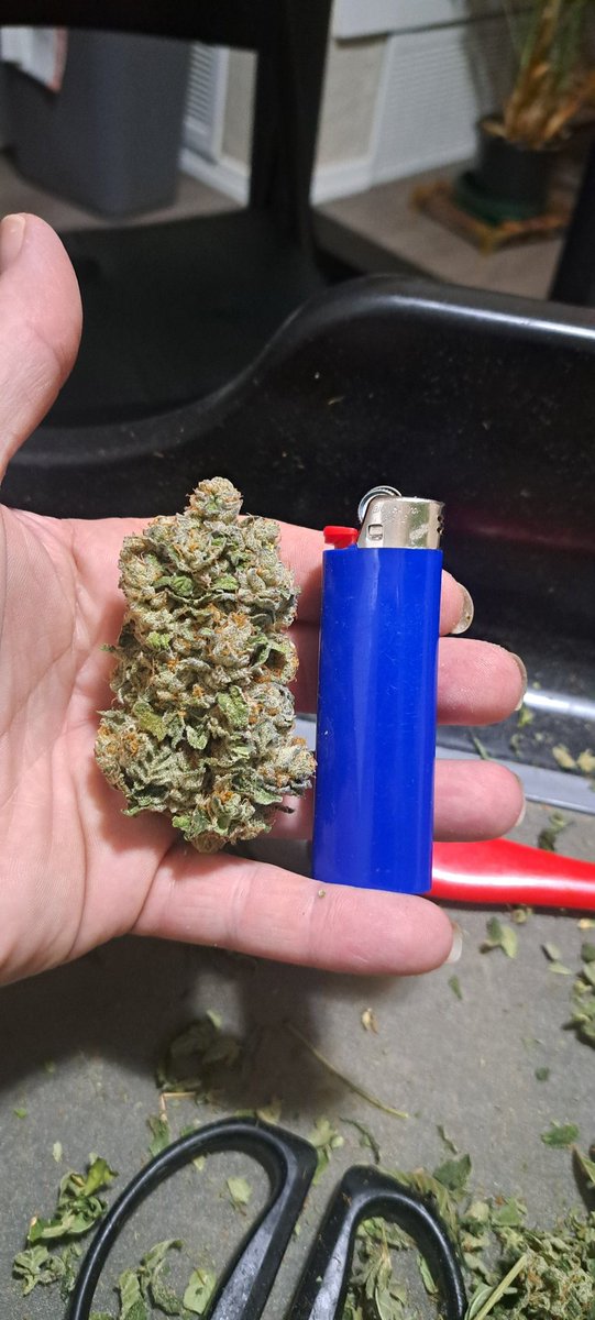 Guzzleberry from solfire gets chunky and so strawberry