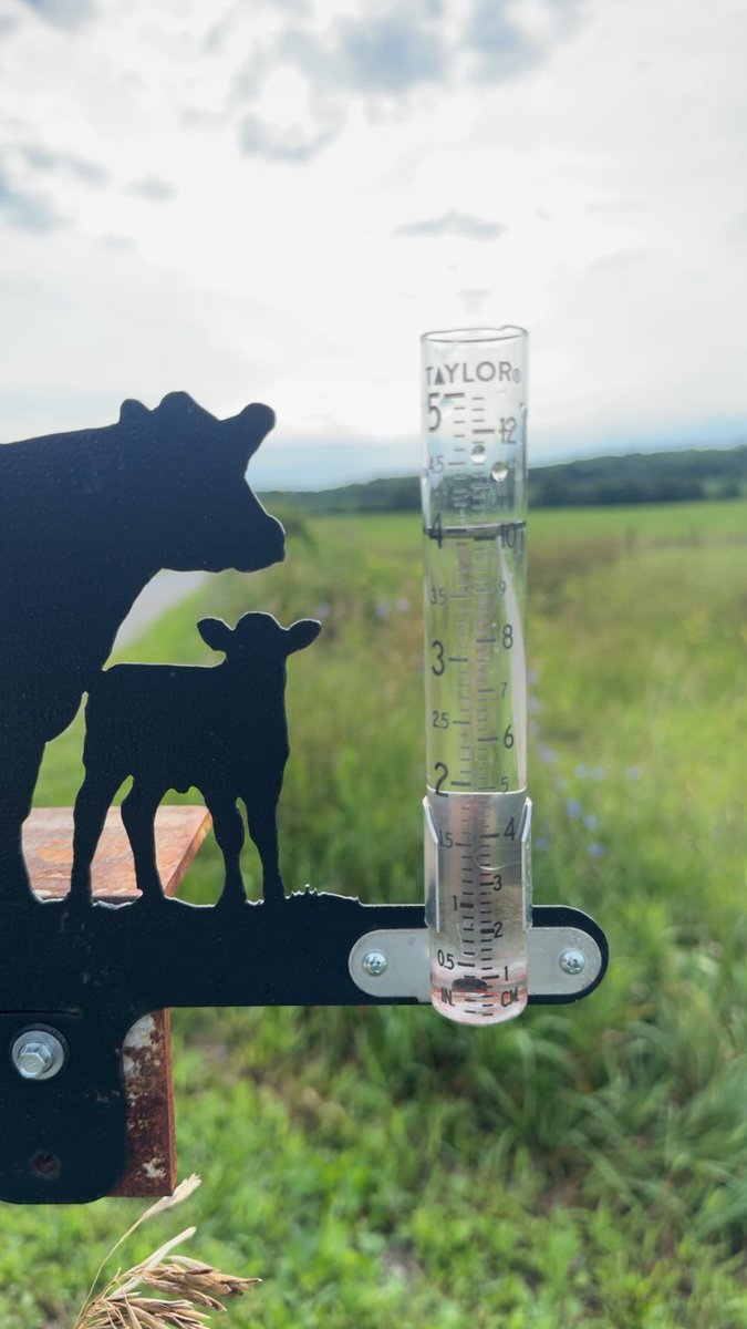 tgmiller46's tweet image. Received a bit more of precipitation over night