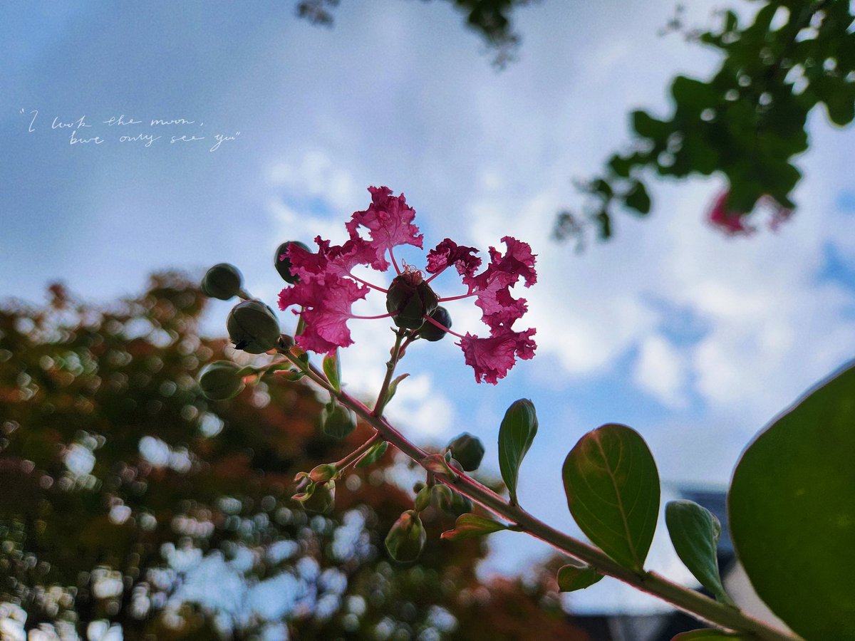 다시 널 찾을꺼야 운명처럼