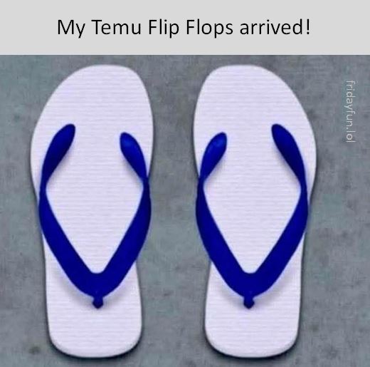 fridayfunnn's tweet image. What a bargain! 😃
fridayfun.lol/fails #Fails #Temu