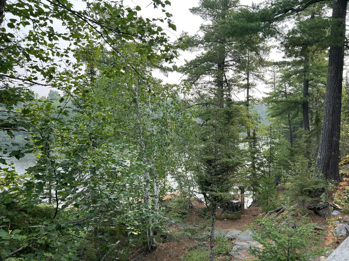 LichTamara's tweet image. Pretty tough to leave this paradise this morning.
Onwards to Ottawa! 👉🏼🇨🇦