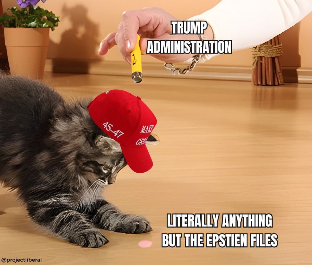 thomas_taistra's tweet image. The MAGA base is really comprised of the dumbest, most uneducated bunch of ADHD-ridden shit kickers imaginable. 😂🤣