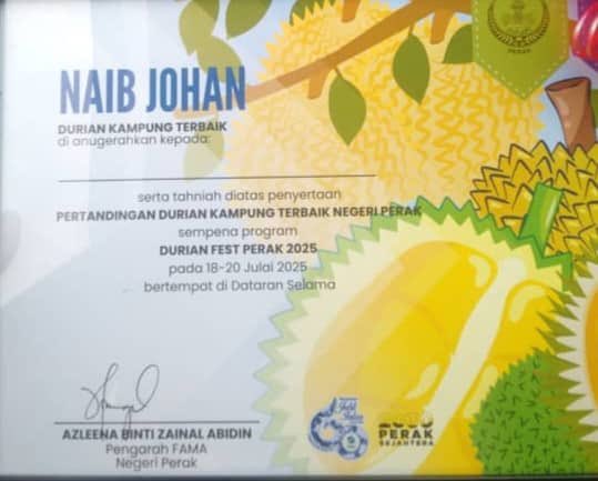 _sqimi's tweet photo. Proudly present!!! The best durian kampung at Perak 2025🤲✅ #durian https://t.co/VygGsxceDZ