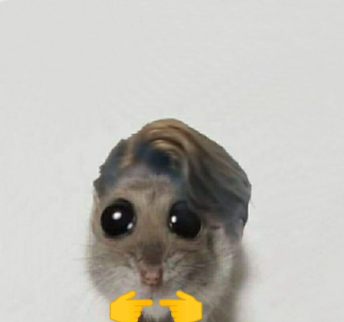 atom1001101's tweet image. if you're in the hamily or just like the sad hamster meme add these emojis to your name plaes

🐹🎻

$hammy