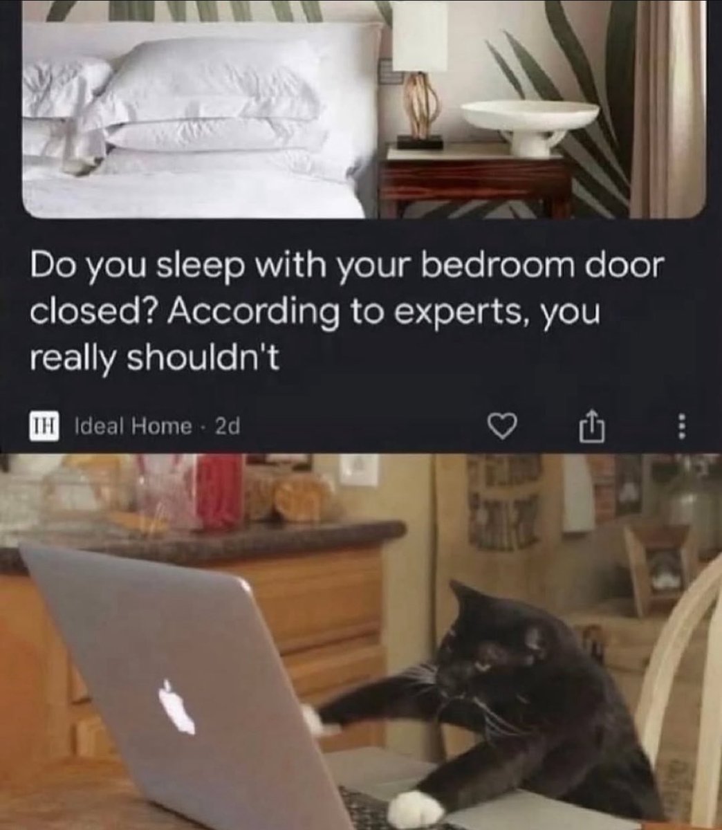 Nugjokes's tweet image. Good Morning Kings