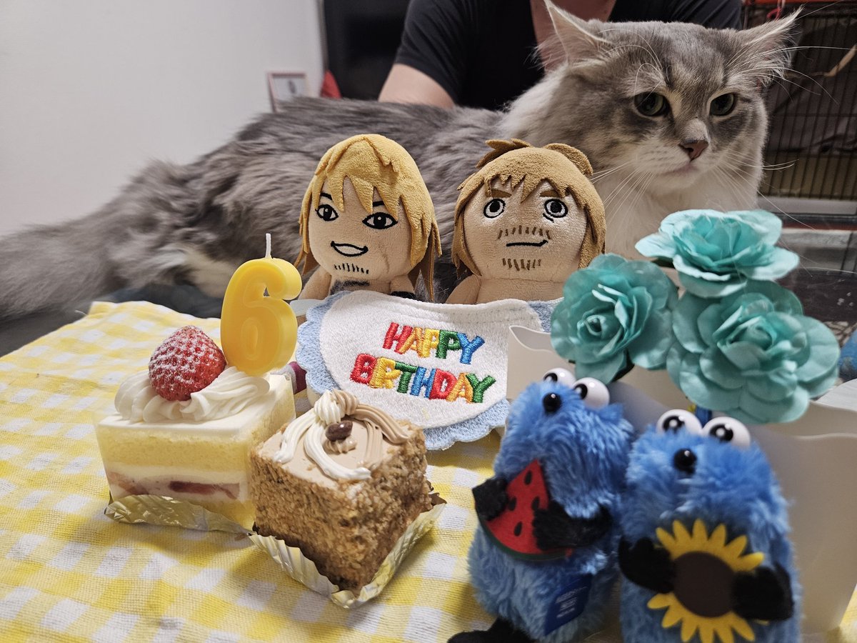 Maaa76Wss's tweet image. 2025.7.20 我が息子ポコのお誕生日🩷6歳になりました🎉プレゼントは猫用ランニングマシン✨みんなでお祝いしてケーキを食べました😺🤍次のお誕生日も健康で元気に3人でお祝いできますように🎂