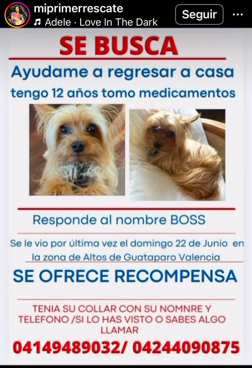 Rescata (@carmenzr04) on Twitter photo 