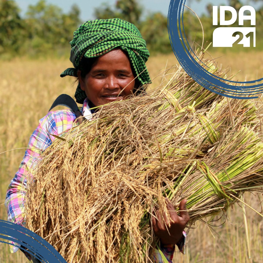 WBG_IDA's tweet image. Using tools like the Global Food/Nutrition Security Dashboard & Food Security Crisis Preparedness Plans, IDA helps countries anticipate + respond to food crises.
Discover how #IDAworks to transform food systems + address long- & short-term food security: wrld.bg/bVJe50WryGh