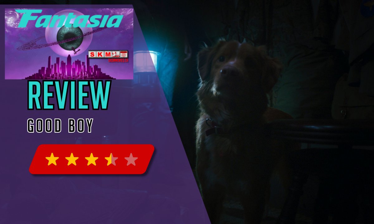 SKonMovies's tweet image. Here’s our #Fantasia2025 review of #GoodBoy 🐾—an atmospheric, well-produced ghost story told from a dog’s perspective, though it trades scares for style.
📖 Read more: urls.grow.me/aHR0cHM6Ly9za2…
#Horror #GhostStory #DogMovie #FilmReview #NowPlaying