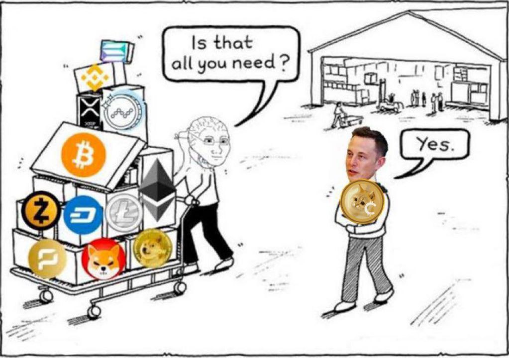 Xcatboss's tweet photo. #catcoin ♥️ #ElonMusk https://t.co/RiPnIlsIwI