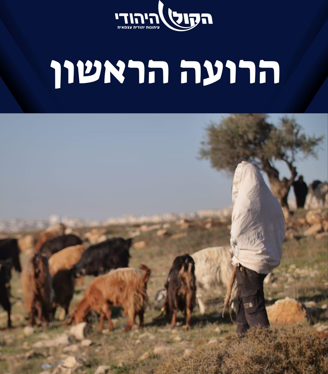 hakolhayehudi's tweet image. הרועה הראשון
לא בטוח עד כמה מפעל רועי הצאן המתחדש בארץ שהציל מאות אלפי דונמים מהשתלטות, מבין עד כמה הוא צועד על הדרך שסלל אבי הרועים היהודים | אברהם הרצליך מכר בצעירותו מכוניות רולסרויס בארה"ב עלה ארצה, יצא למרעה יום יום, וציפה בכל מאודו לשוב עבודת הקורבנות | האזינו לפרק המלא…