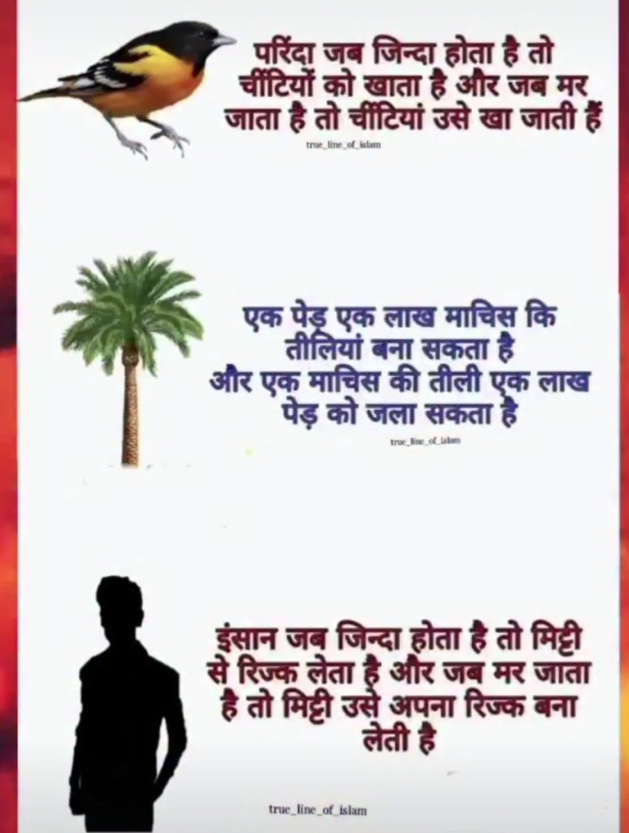 वक़्त हमेशा एक जैसा नहीं रहता!"

परिंदा जब जिन्दा होता है तो चींटियों को खाता है और जब मर जाता है तो चींटियां उसे खा जाती हैं!!

एक पेड़ एक लाख माचिस कि तीलियां बना सकता है और एक माचिस की तीली एक लाख पेड़ को जला सकता है!!!

इंसान जब जिन्दा होता है तो मिट्टी से रिज्क लेता है और जब