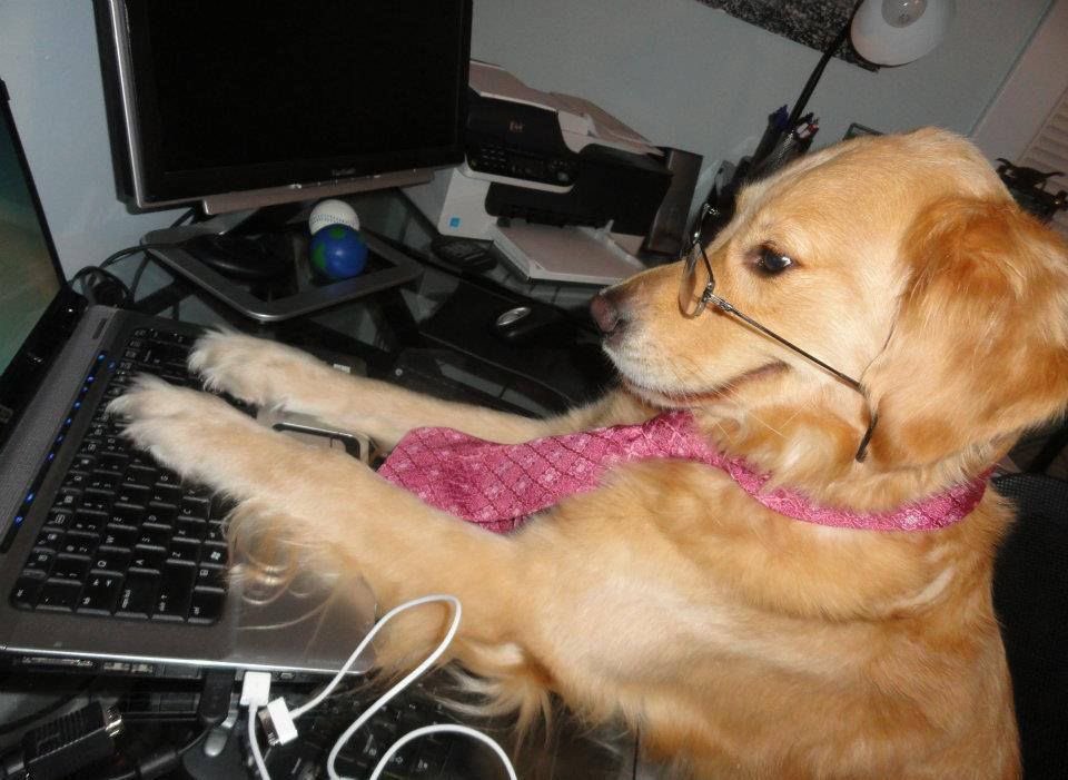 thenofuns's tweet image. when you hire me this is who you&apos;re hiring btw