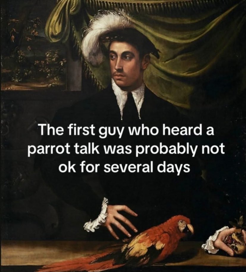 🤷‍♂️