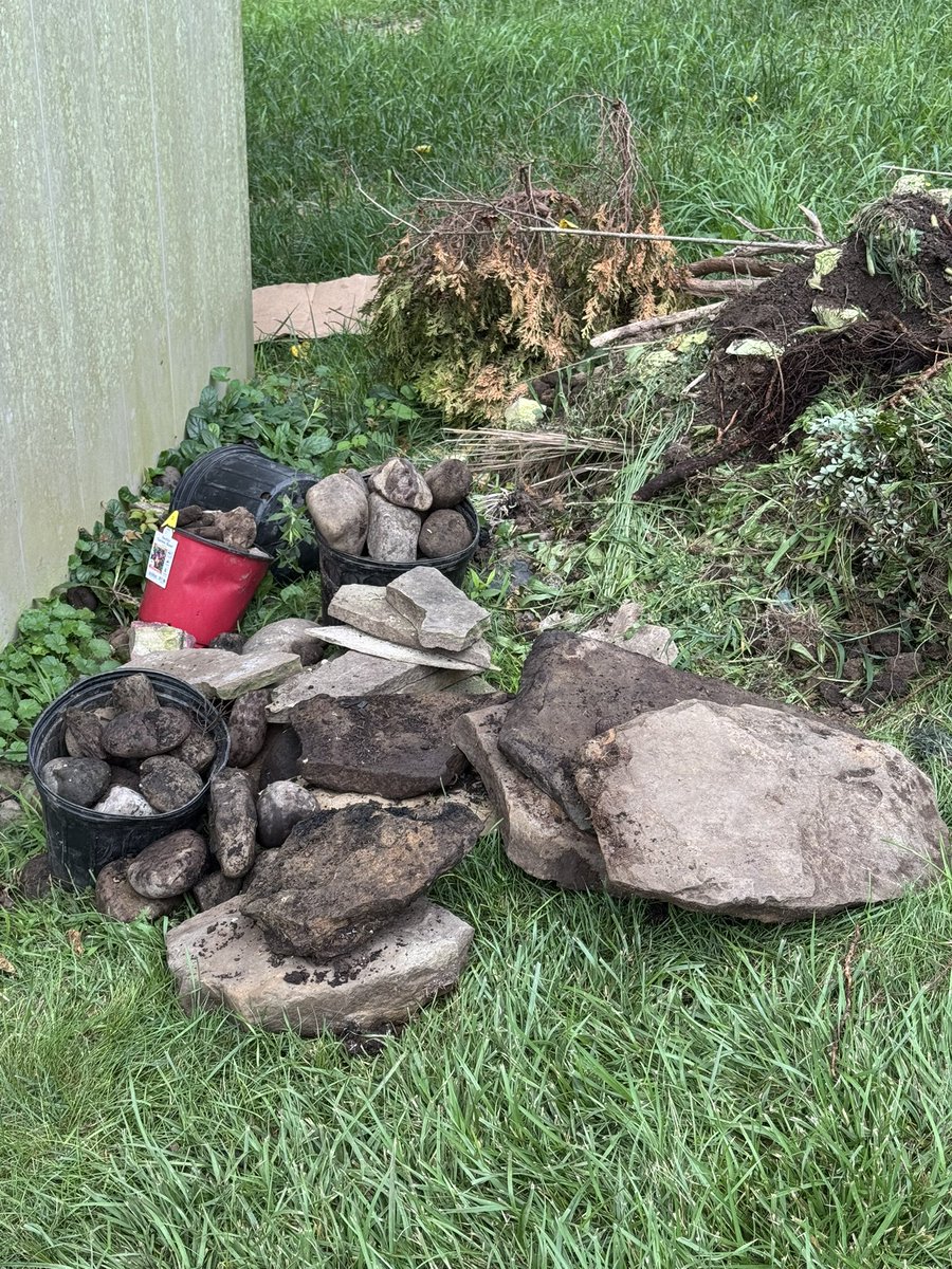 dlwiest's tweet image. Stones I dug out while I was planting more trees. Gonna build a path with them + use the little ones to border a bed. Better than Minecraft tbh